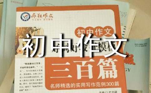专业篮球运动员推荐的赛事训练计划_2